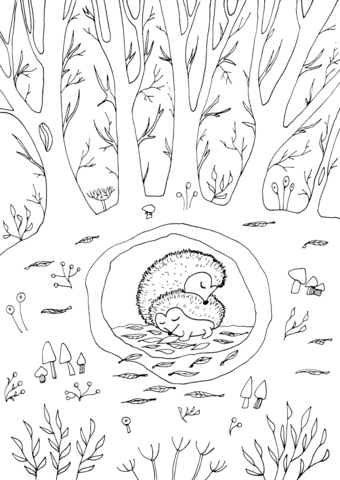 Hedgehog Couple Coloring Page